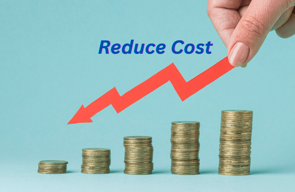 10 ways to reduce your IT cost in 2025 | Infraon - Cost Of Chuck E Cheese Party