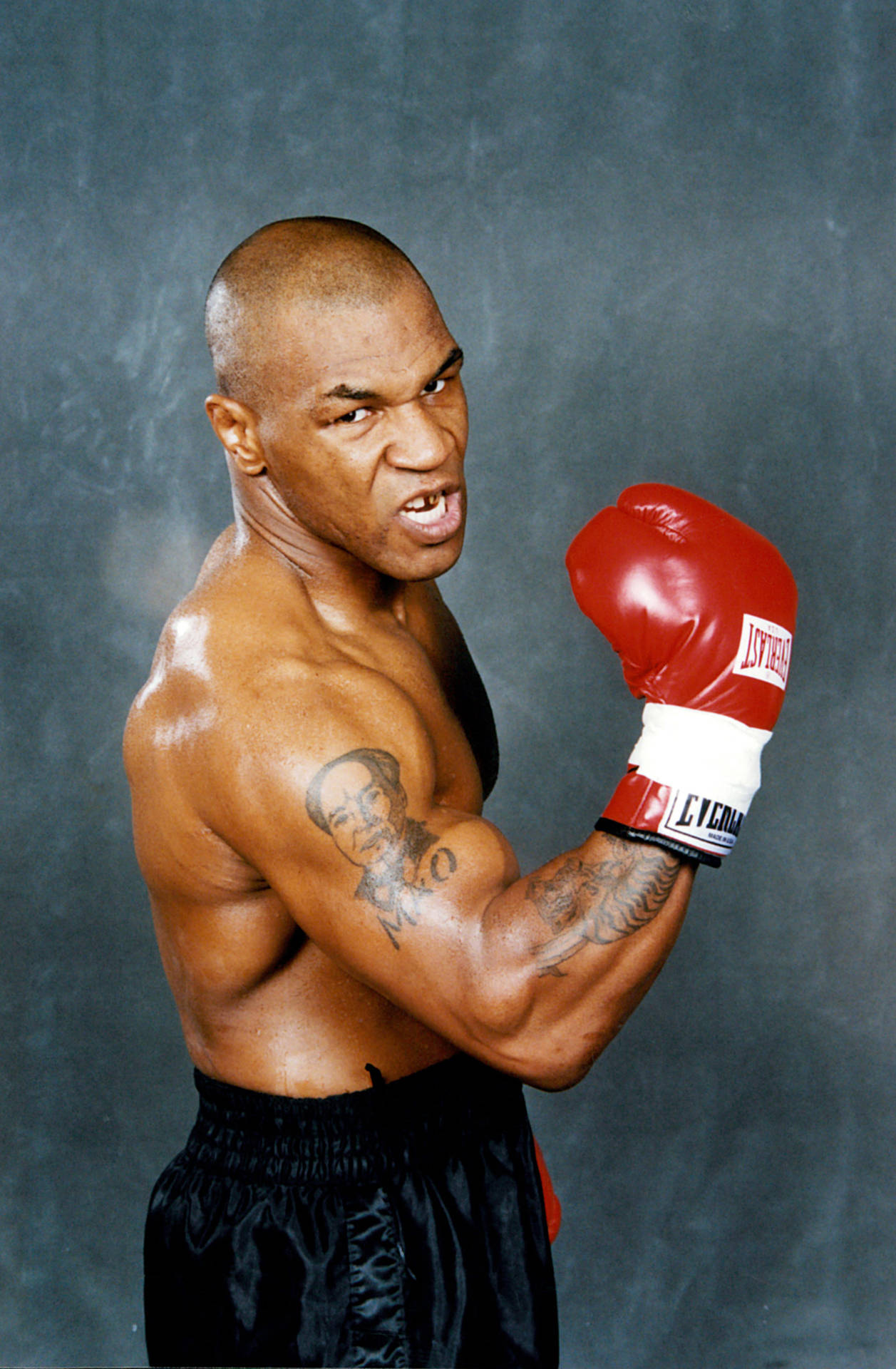 [100+] Mike Tyson 4k Wallpapers | Wallpapers.com - Tyson Foods Inc Pine Bluff Ar