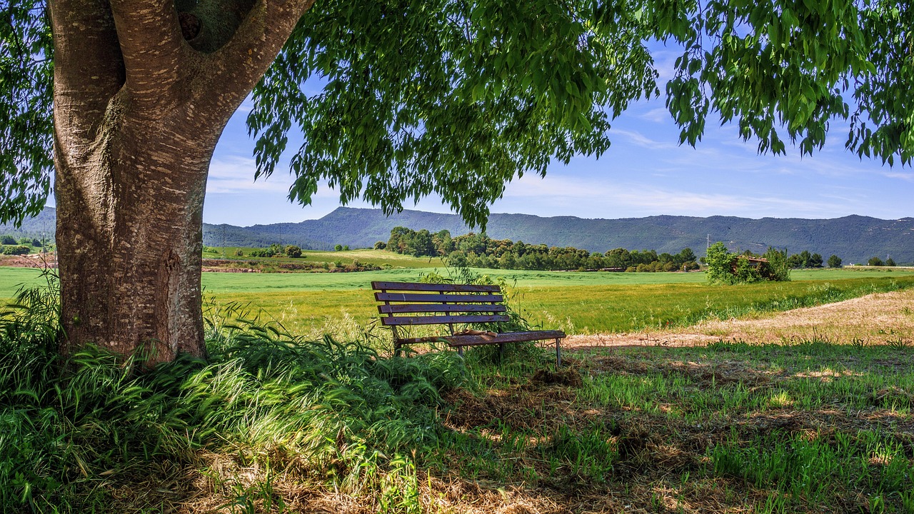70,000+ Free Country Road & Road Images - Pixabay - Rural King Side By Side 500