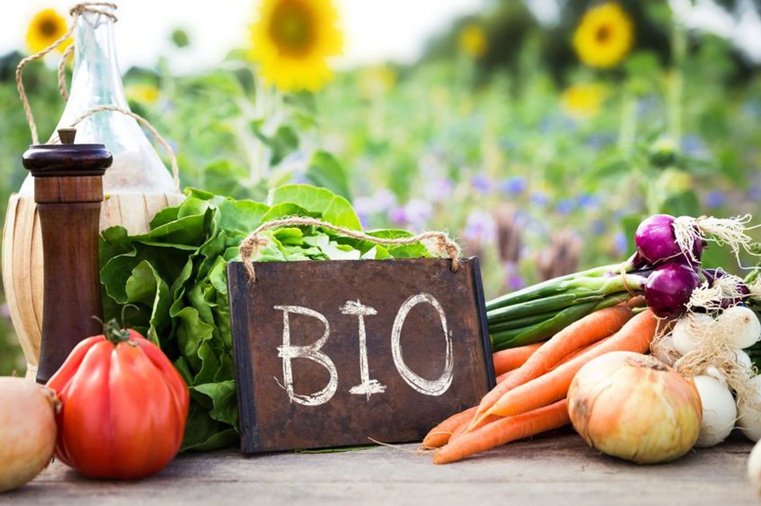 Alles over bio - Bio Complete 3 Where To Buy