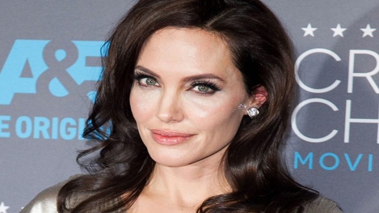 Angelina Jolie Net Worth - Angelina Jolie Net Worth 2025: Actress, Director & Humanitarian Earnings