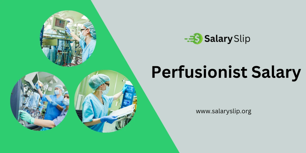 Average Perfusionist Salary In the United States, 2025| Guide - Cardiovascular Perfusionist Salary: Average Pay & Job Outlook (2025)