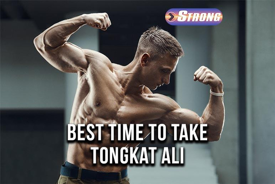 Best Time To Take Tongkat Ali: A Guide to Peak Performance - Strong - Best Time To Take Tongkat Ali