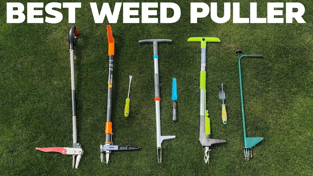 BEST Weed Pulling Tool Comparison - YouTube - Schedule 1 Best Weed To Sell