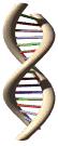 Biología Molecular para tercer semestre de Medicina.UCE: 1er CRISPR in - U Pull & Pay Cincinnati Oh