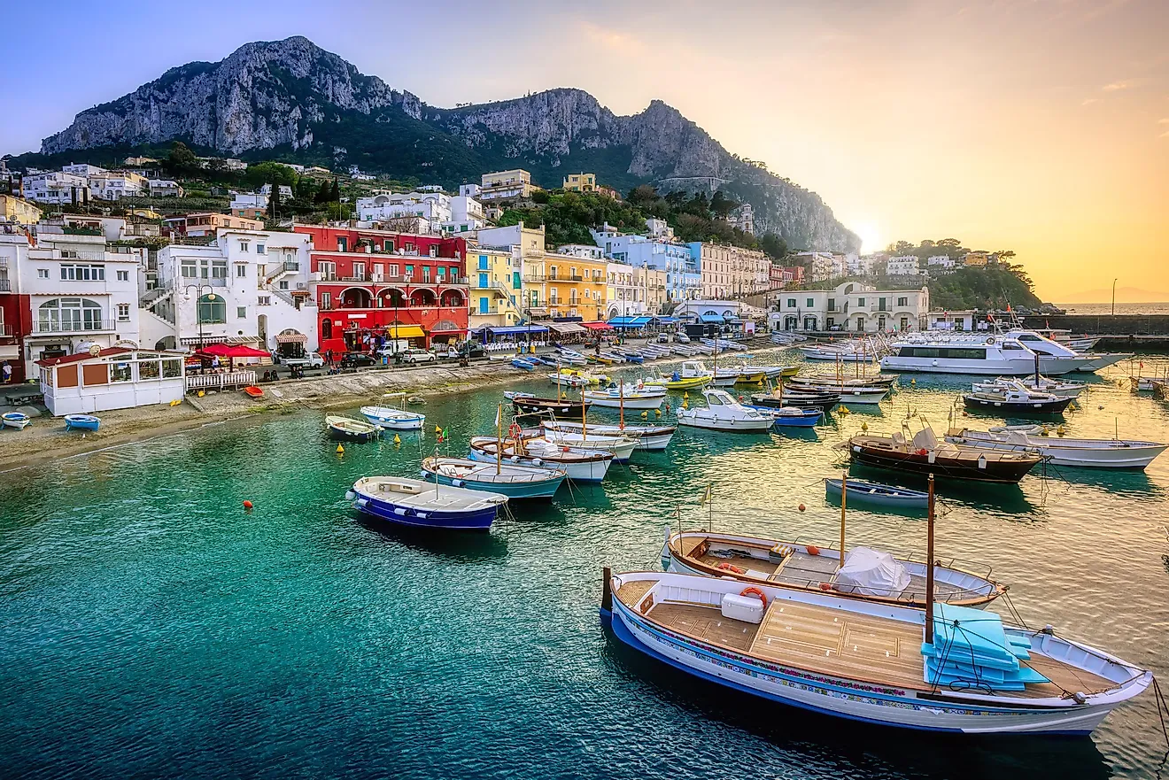 Capri Island - WorldAtlas - How Old Is Capri? Internet’s Cutest Mystery Age Revealed