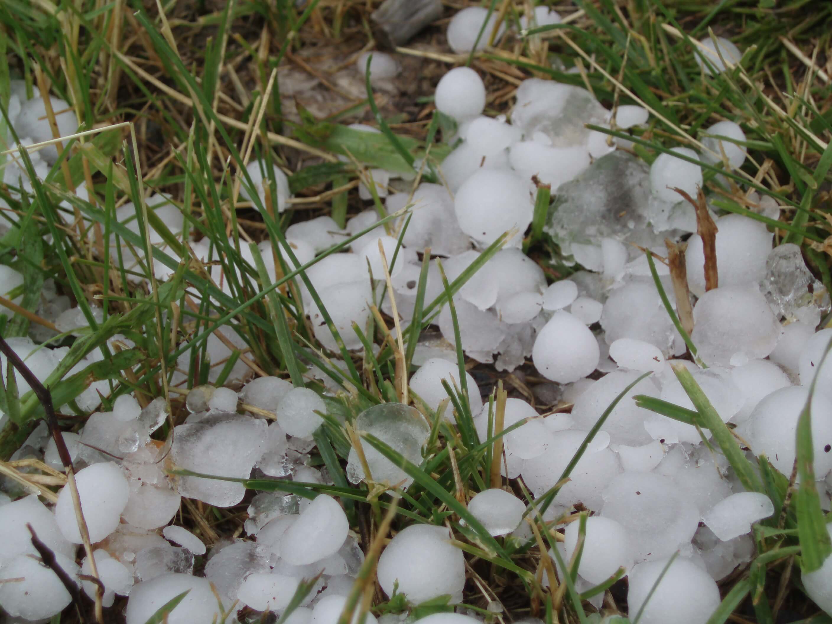 Catastrophe declared for Sydney hailstorm - Hail To The Chief Sheet Music