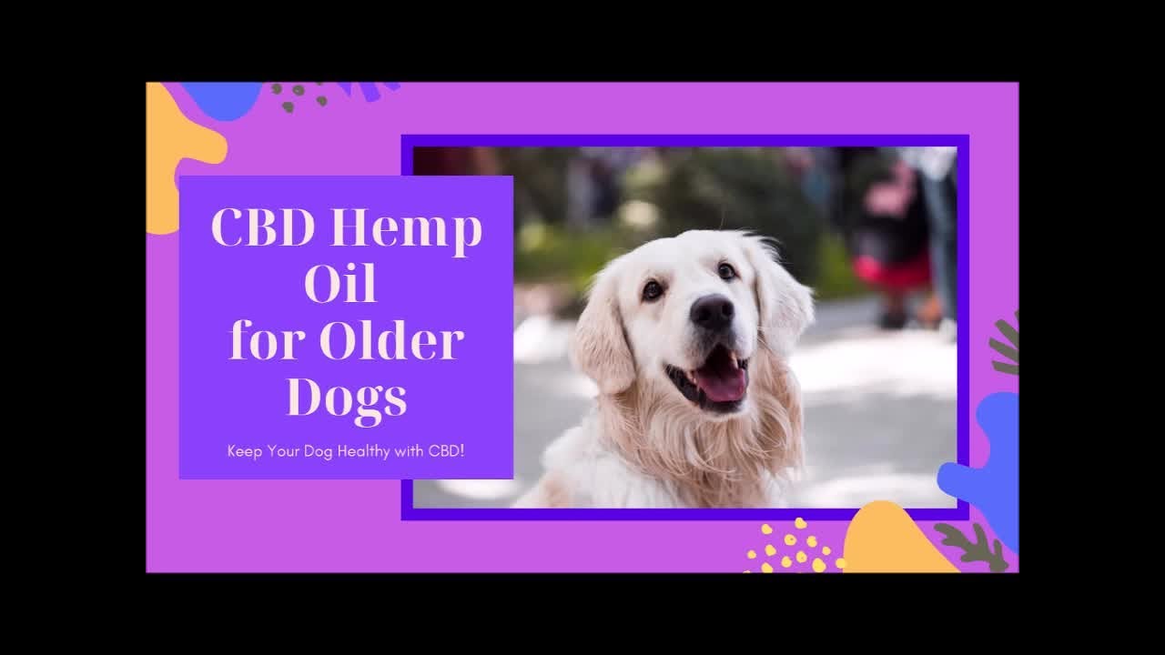 CBD Hemp Oil for Older Dogs - YouTube - Dosage Of Hemp Oil For Dogs