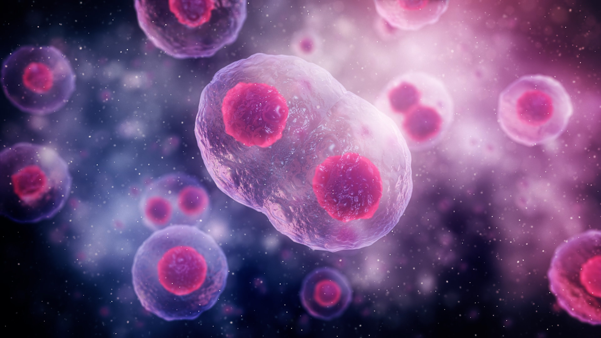 Cells Under A Microscope Photos at Michael Shelor blog - Cells A And F Show An Early
