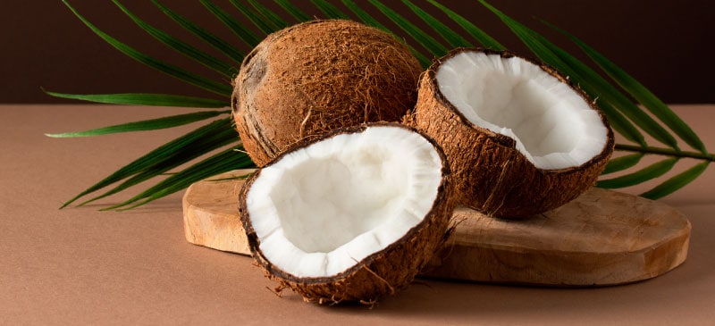 Coconut Oil On Dog Paw Pads