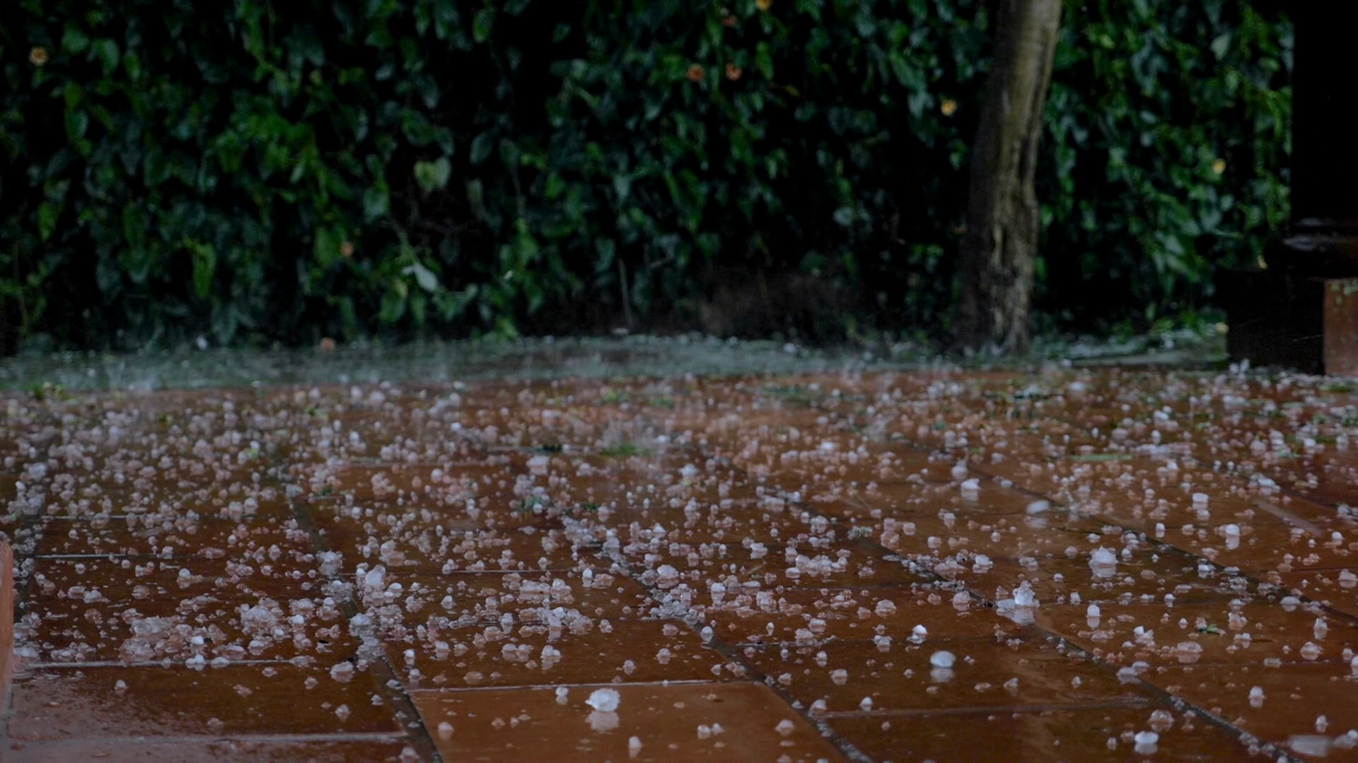 Damaging Large Hail Stones Falling On Tile Stock Footage SBV-333680966 - Hail To The Chief Sheet Music