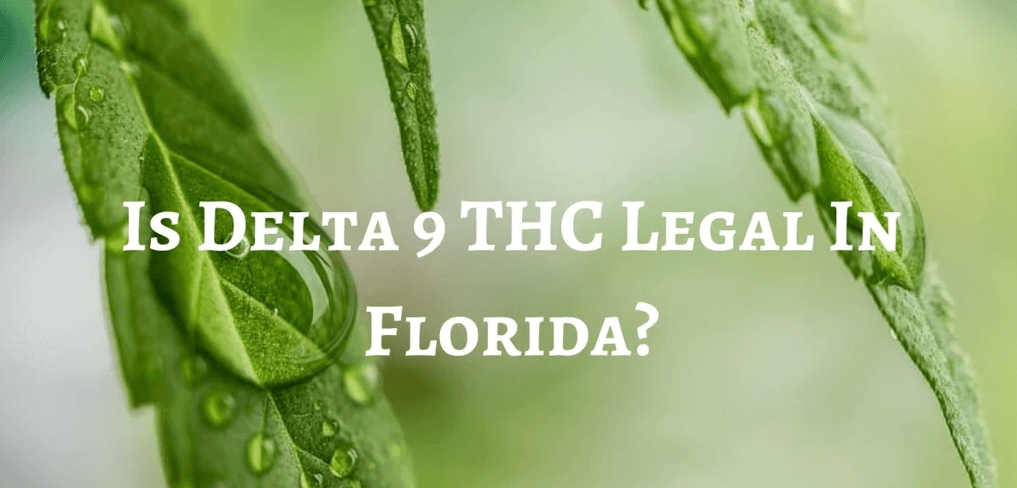 delta 9 legal in florida - Is Delta 9 Legal In Indiana