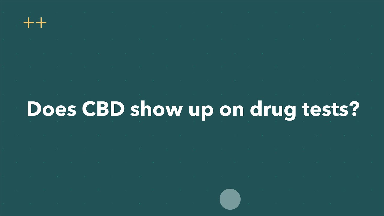 Does CBD show up on drug tests? - YouTube - Does Cbn Show Up On Drug Test