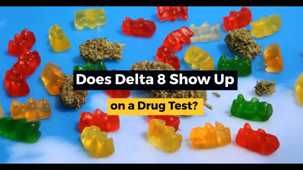 Does Delta 8 Show Up On A Drug Test? Read This First - YouTube - Delta 8 Show Up On Drug Test