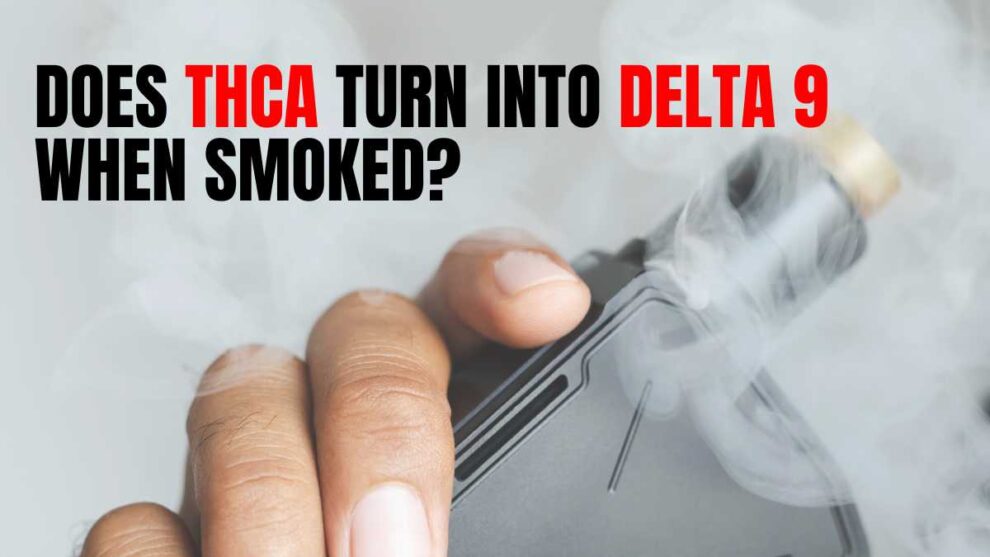 Does THCa Turn Into Delta 9 When Smoked? - Does Thca Convert To Delta 9