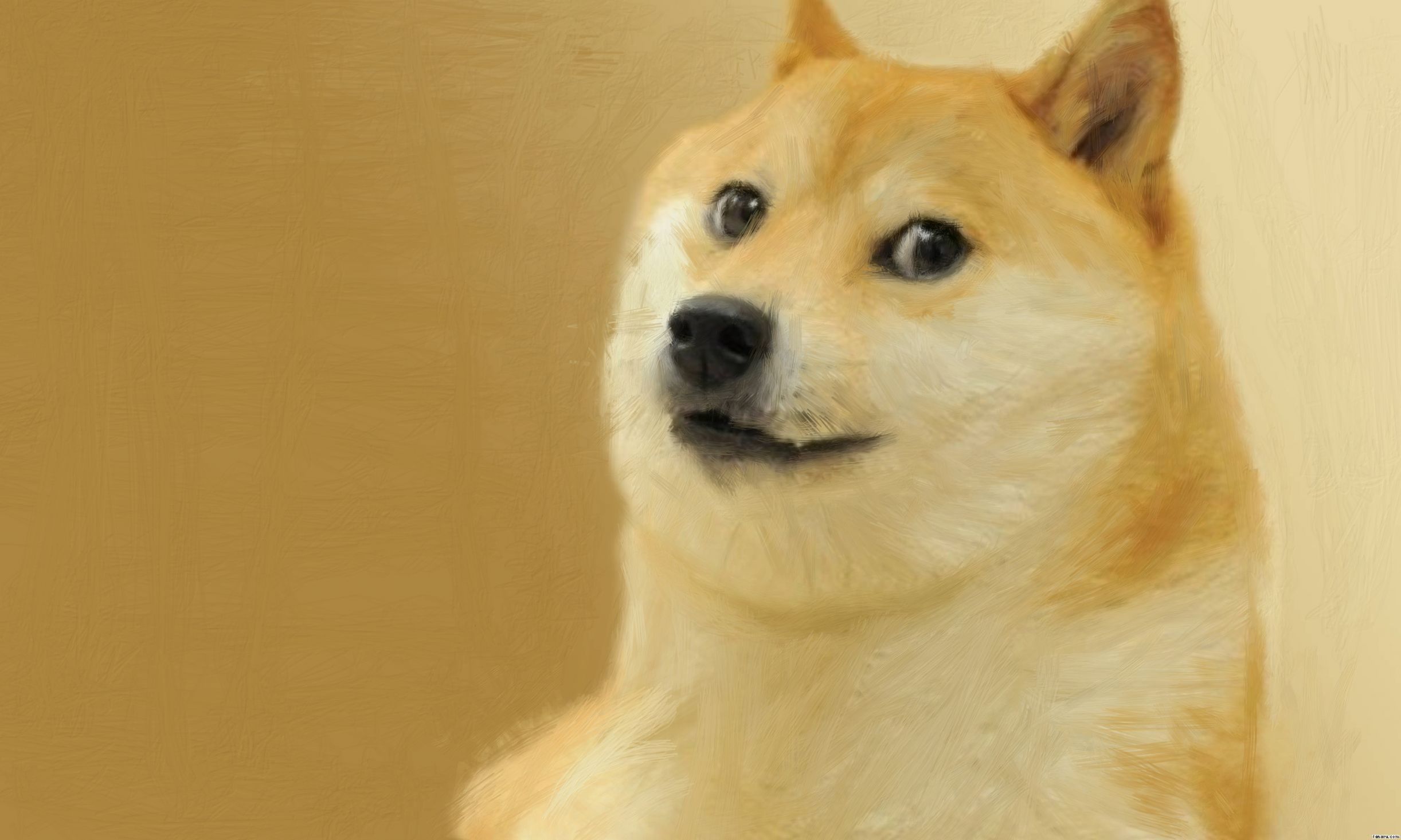 Doge Meme Template - Doge Or Xrp Which Is Better