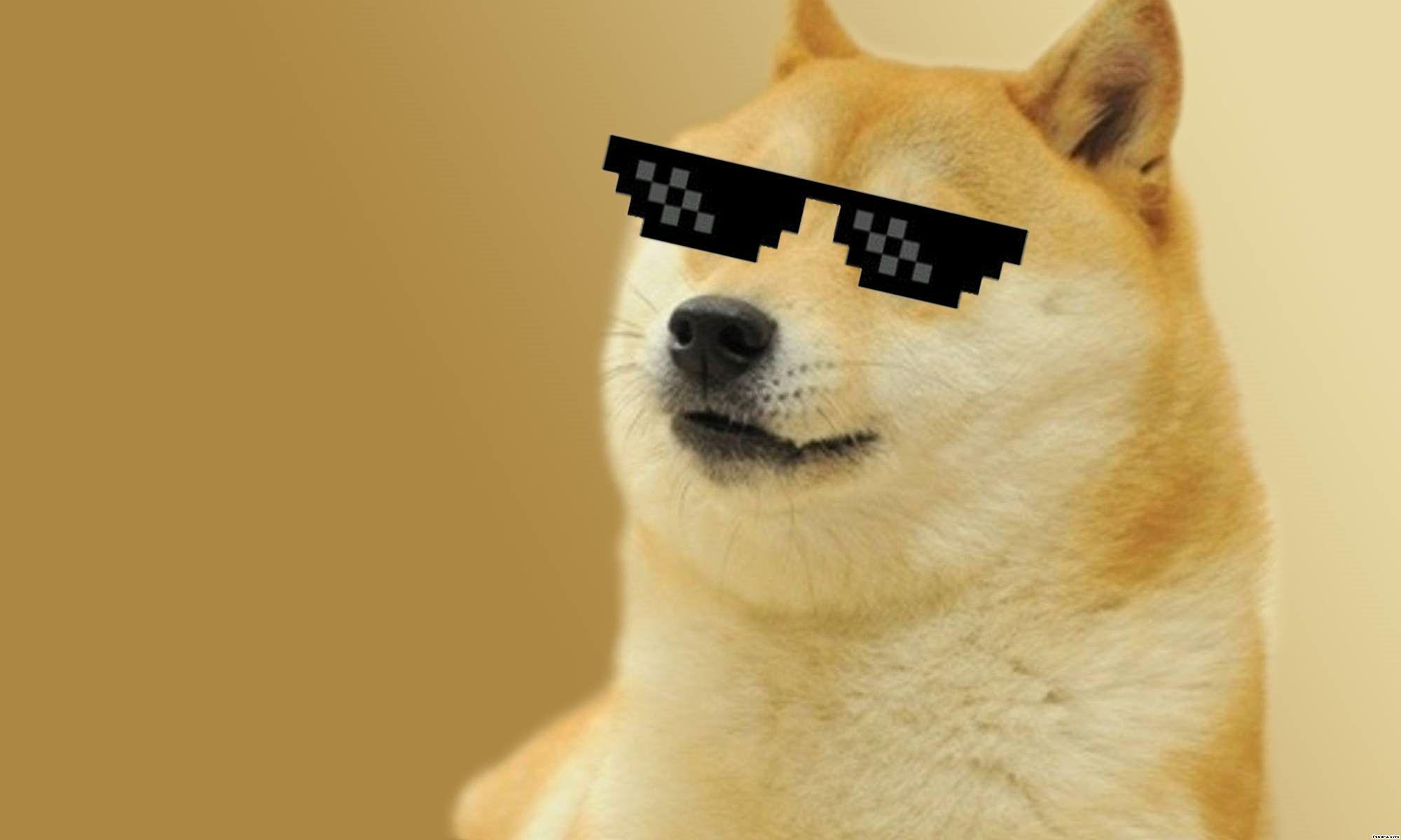 Doge Or Xrp Which Is Better