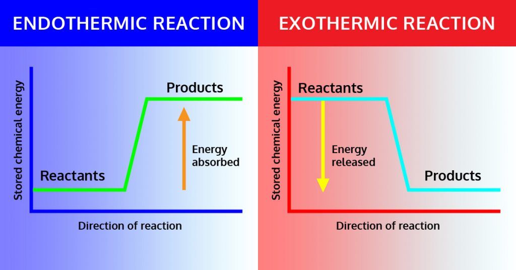 What Is An Endo System Did