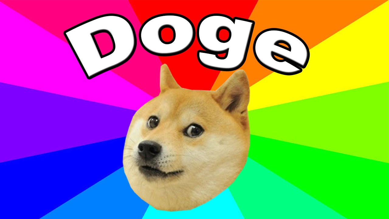 EXPOSED: Dogecoin Creator's Hidden Office Vlogs - A Shocking Betrayal - Doge Or Xrp Which Is Better