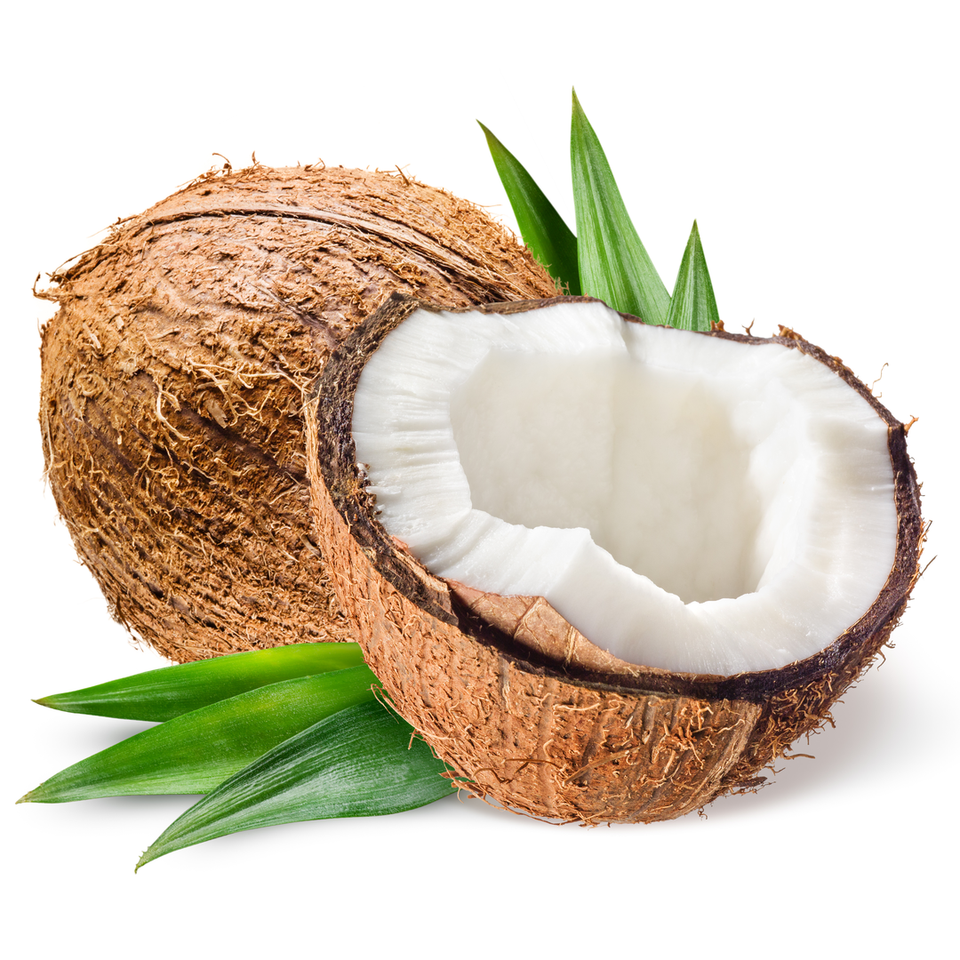 Fresh Coconut 1 pack | Tropical and rare fruits, premium local - Coconut Oil On Dog Paw Pads