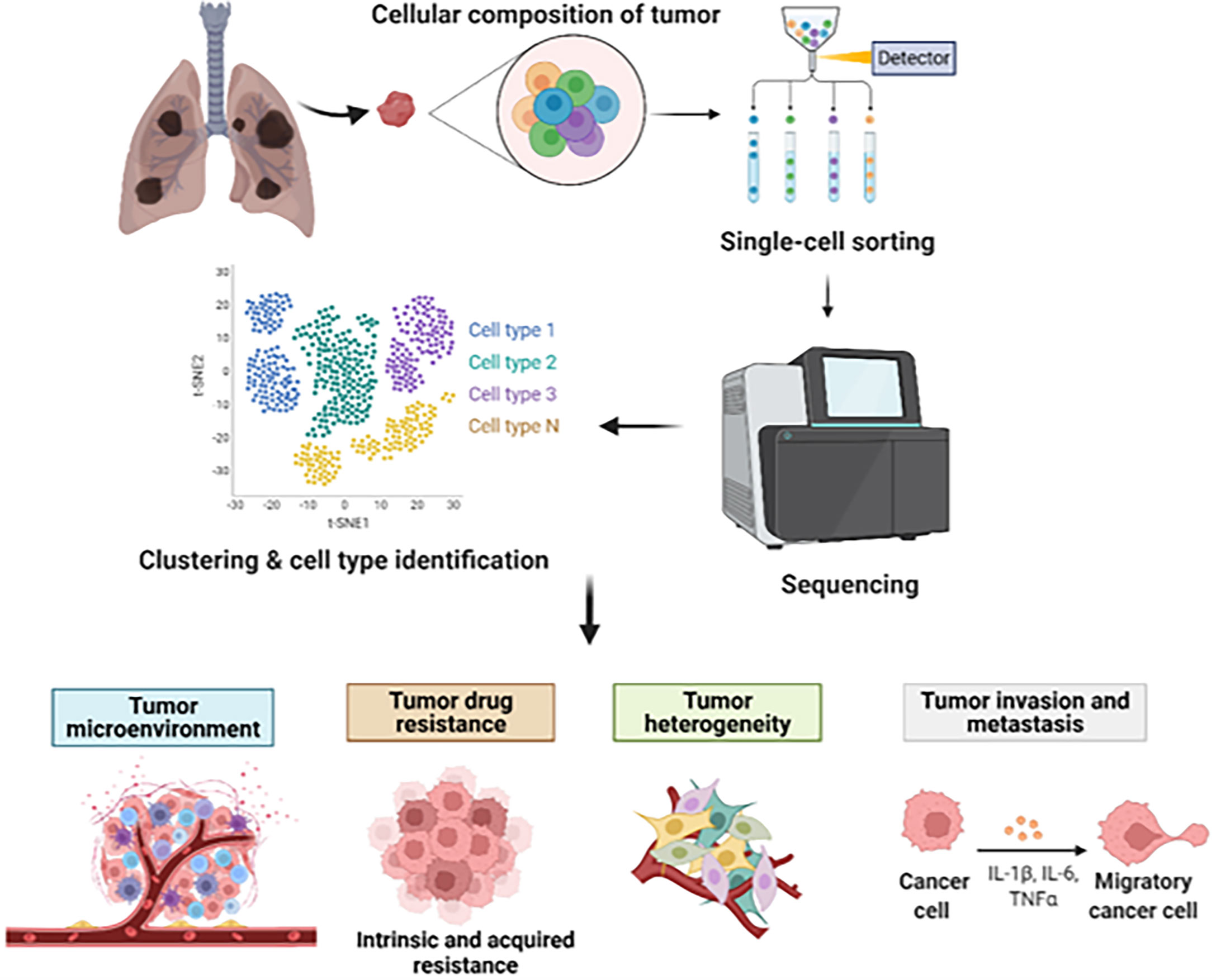 Frontiers | Decoding Lung Cancer at Single-Cell Level - Cancer Rates In China Vs Us