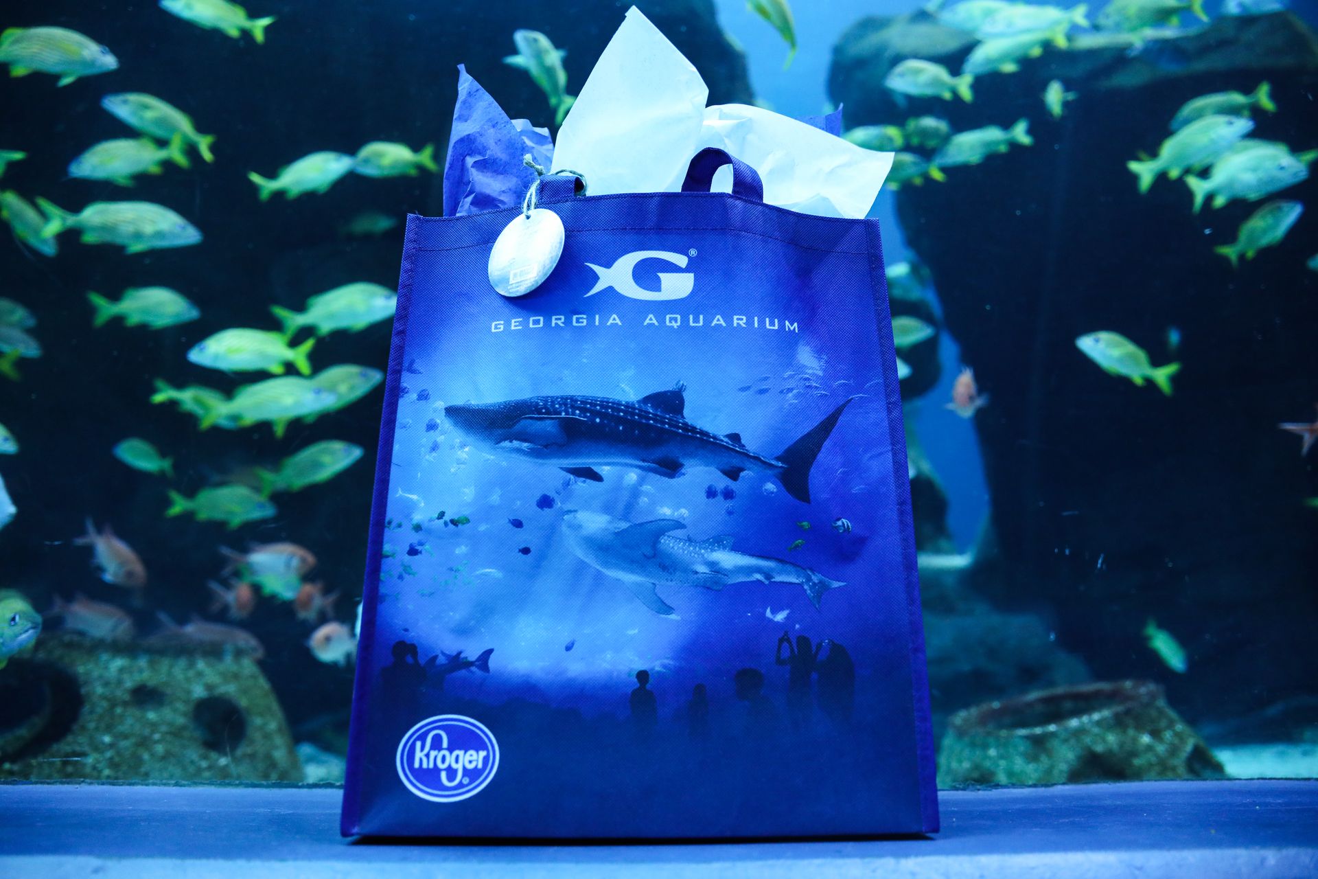 Georgia Aquarium Announces Partnership with Kroger to Debut Reusable - Georgia Aquarium Bag Policy: Security And Storage Info