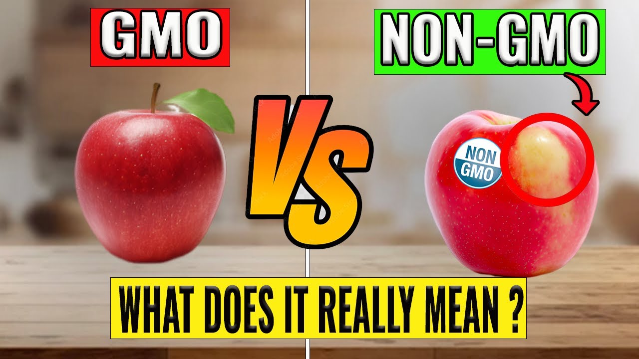 Gmo vs Non-Gmo | What does it really mean? - YouTube - Does Non Gmo Mean Gluten Free
