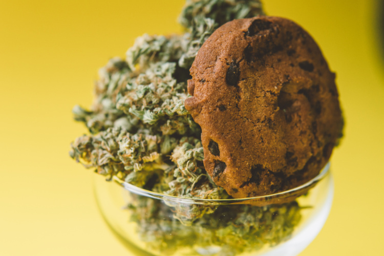 Greenside Recreational | THC Edible Dosages: What You Need to Know - Is 10mg Edible A High Dose
