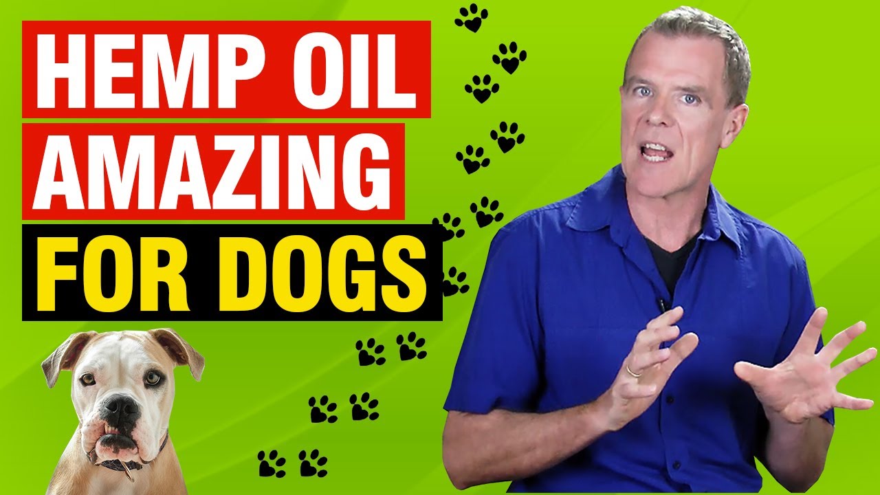 Dosage Of Hemp Oil For Dogs