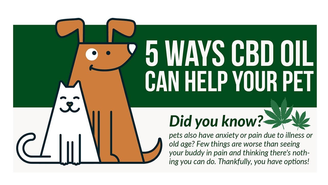 Hemp oil for dogs. Hemp for dogs. Hemp dog treats. - YouTube - Dosage Of Hemp Oil For Dogs