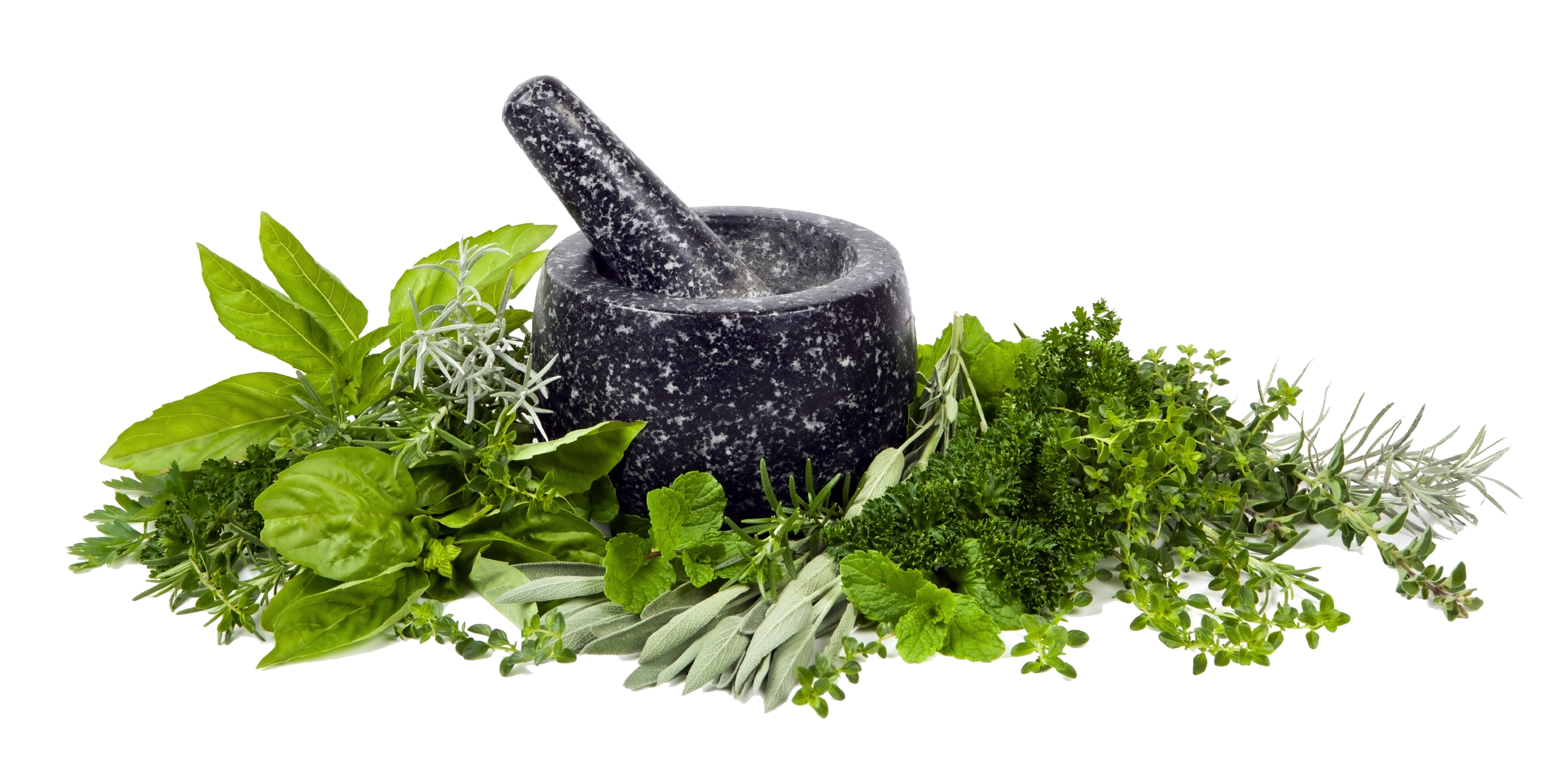 Herbal Clean Com How To Detox