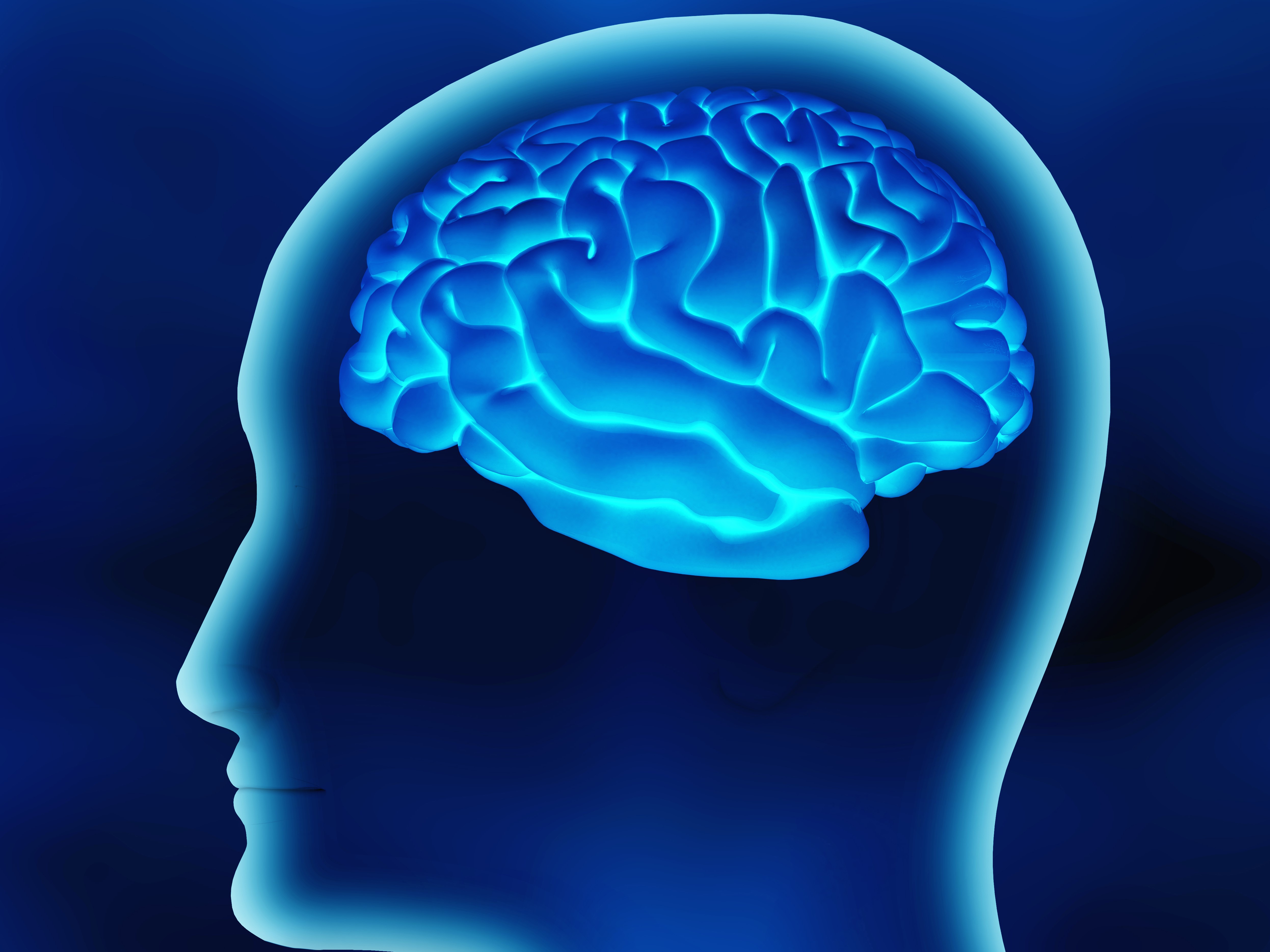 How The Mind Works Psychology - Mind As Well Or Mine As Well