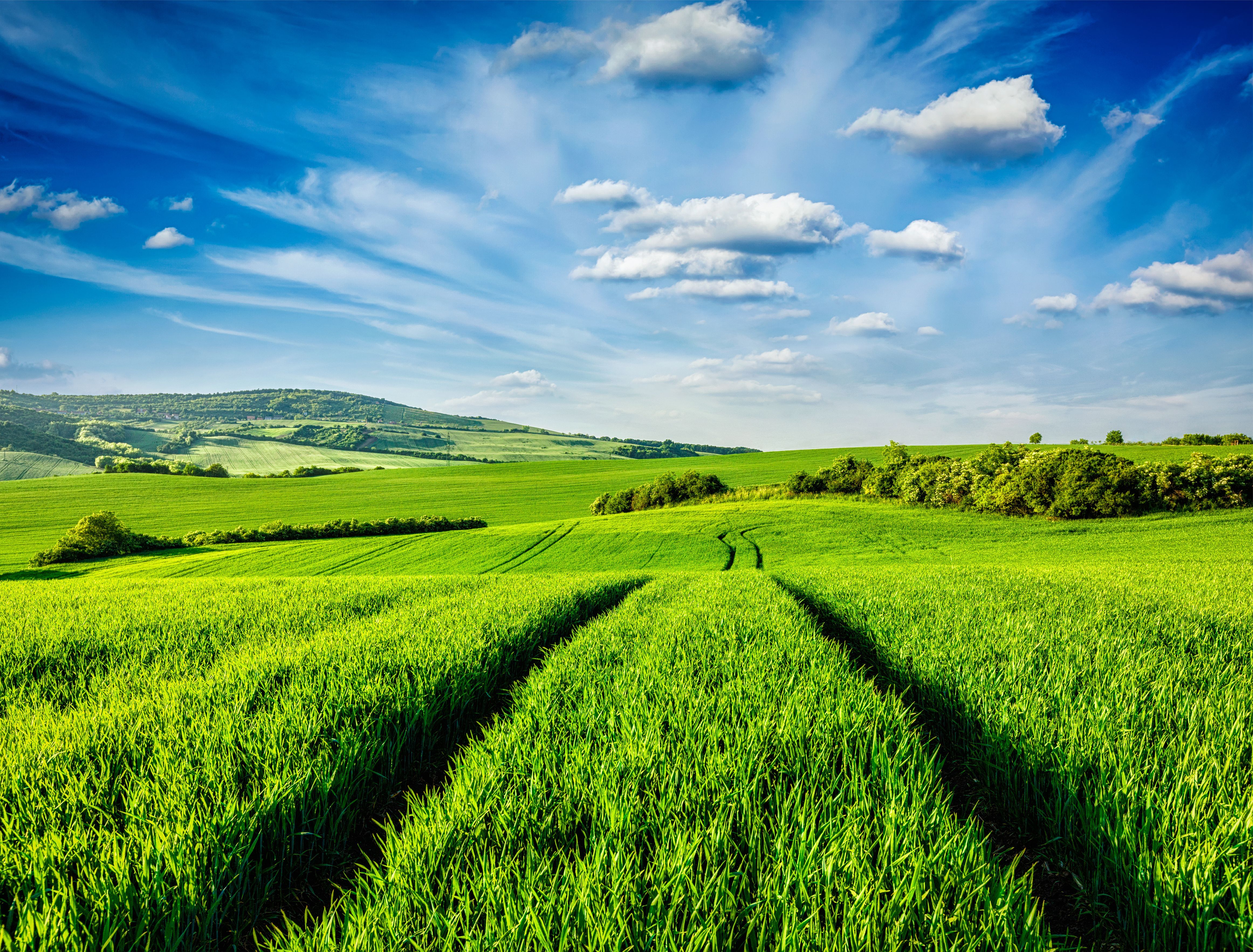 How to buy land to build your dream home | Fine & Country - Land For Sale In Boerne Tx