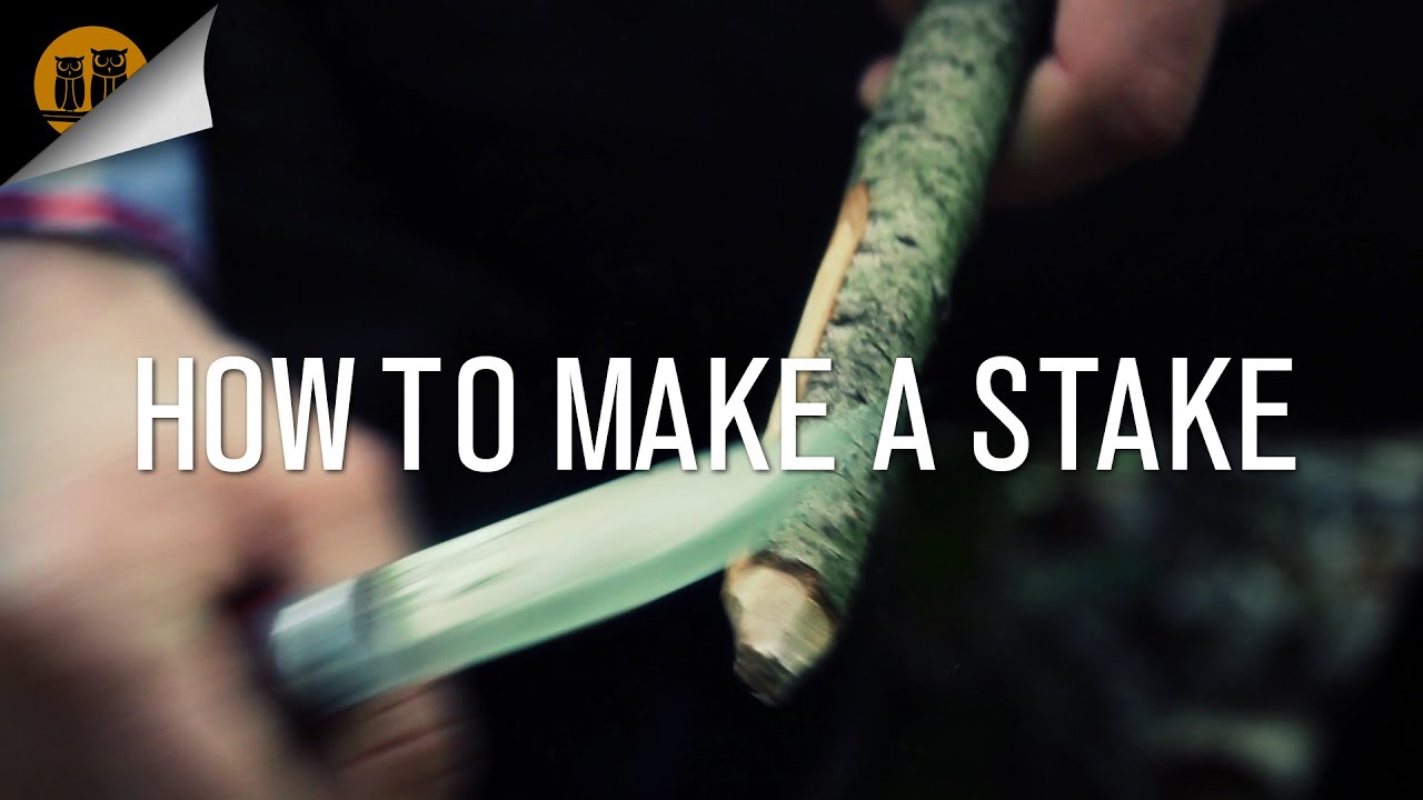 How To Make Money In Stake