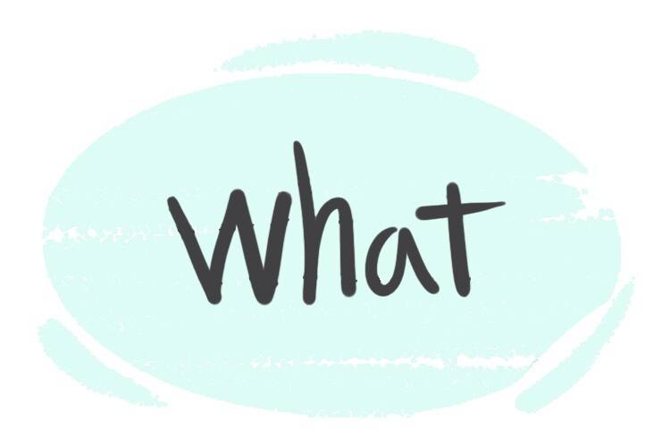 How to Use "What" in the English Grammar | LanGeek - What's The Best Detox For Thc