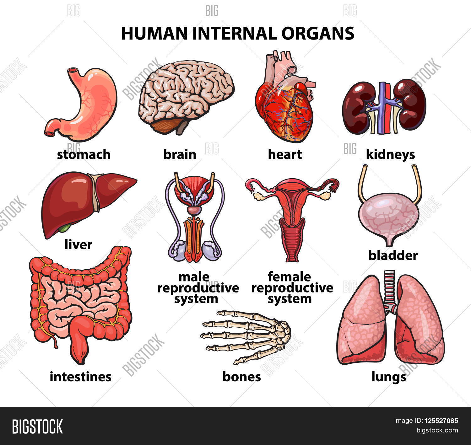 Internal Rbc Near End Of Life