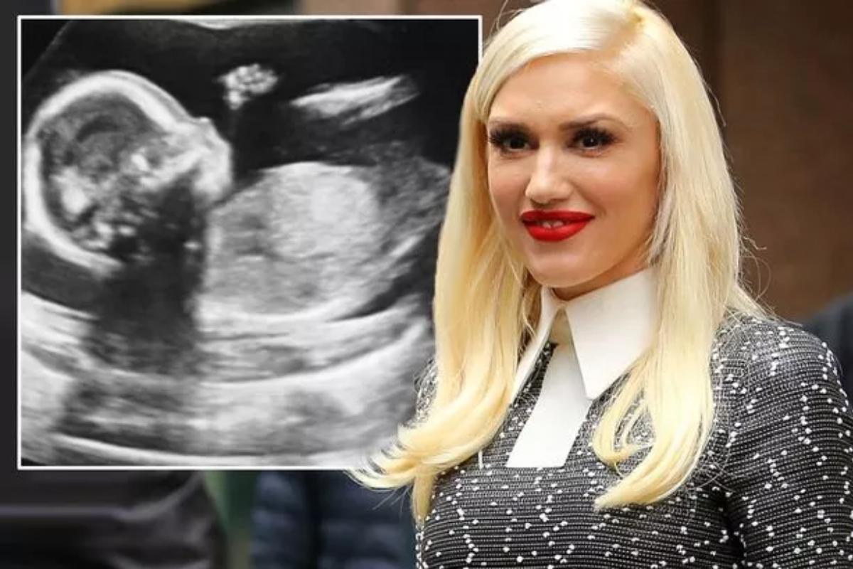 Is Gwen Stefani Expecting Baby #4? Exciting News Unveiled - Gwen Stefani Expecting Baby No. 4? Fans Are Convinced!