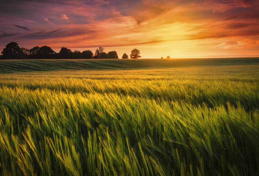 Land for Sale, Vacant Land, Farms and Ranches - Land City - Land For Sale In Boerne Tx