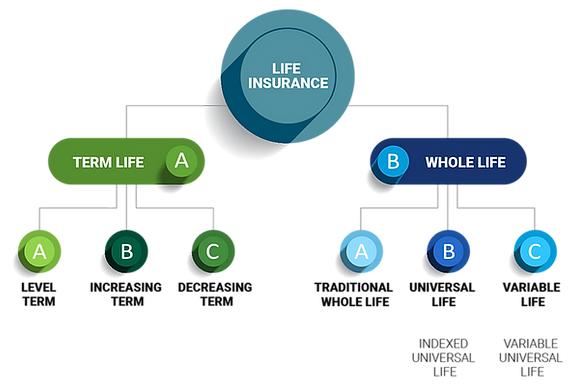 Level Premium Permanent Insurance Accumulates A Reserve That Will