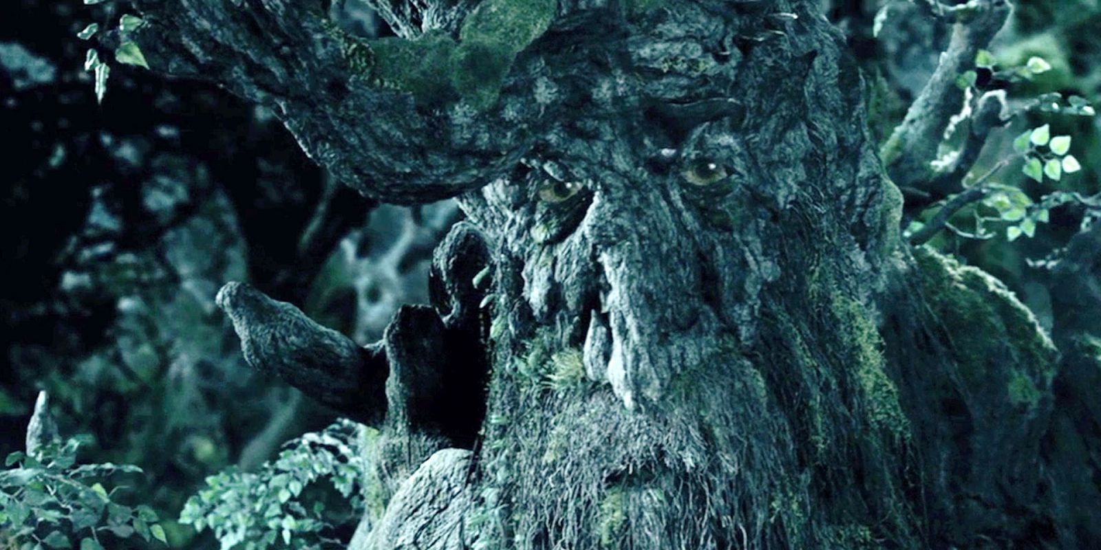 'Lord of the Rings': Everything We Know About Ents - Ent And Allergy Old Bridge Nj