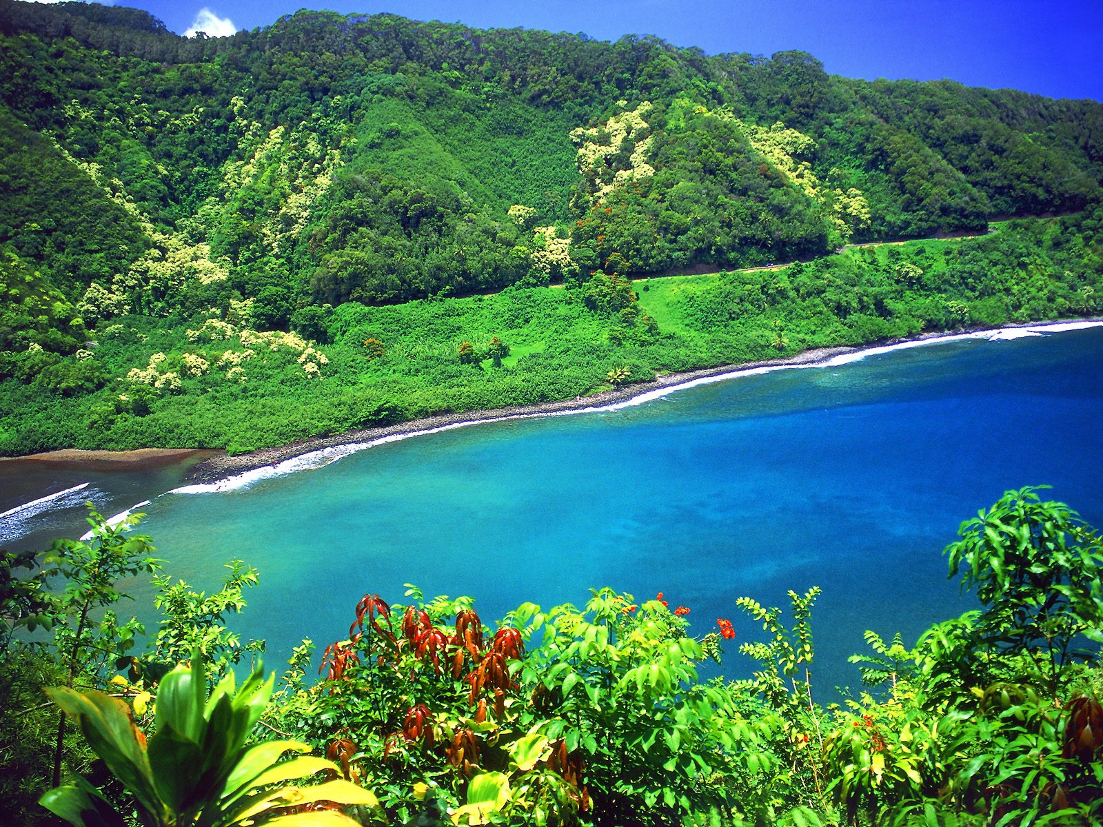 Maui Land & Pineapple Co Inc