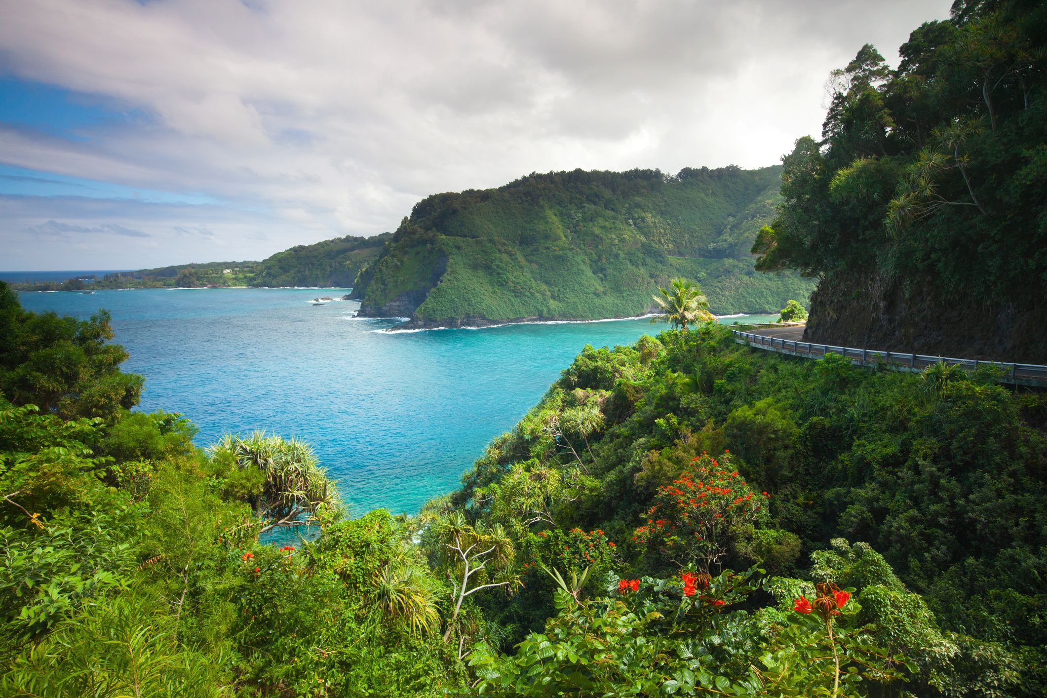Maui Excursions 2025 Olympics - Willie C Faulkner - Maui Land & Pineapple Co Inc