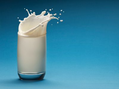 Milk Is A Compound Or Mixture