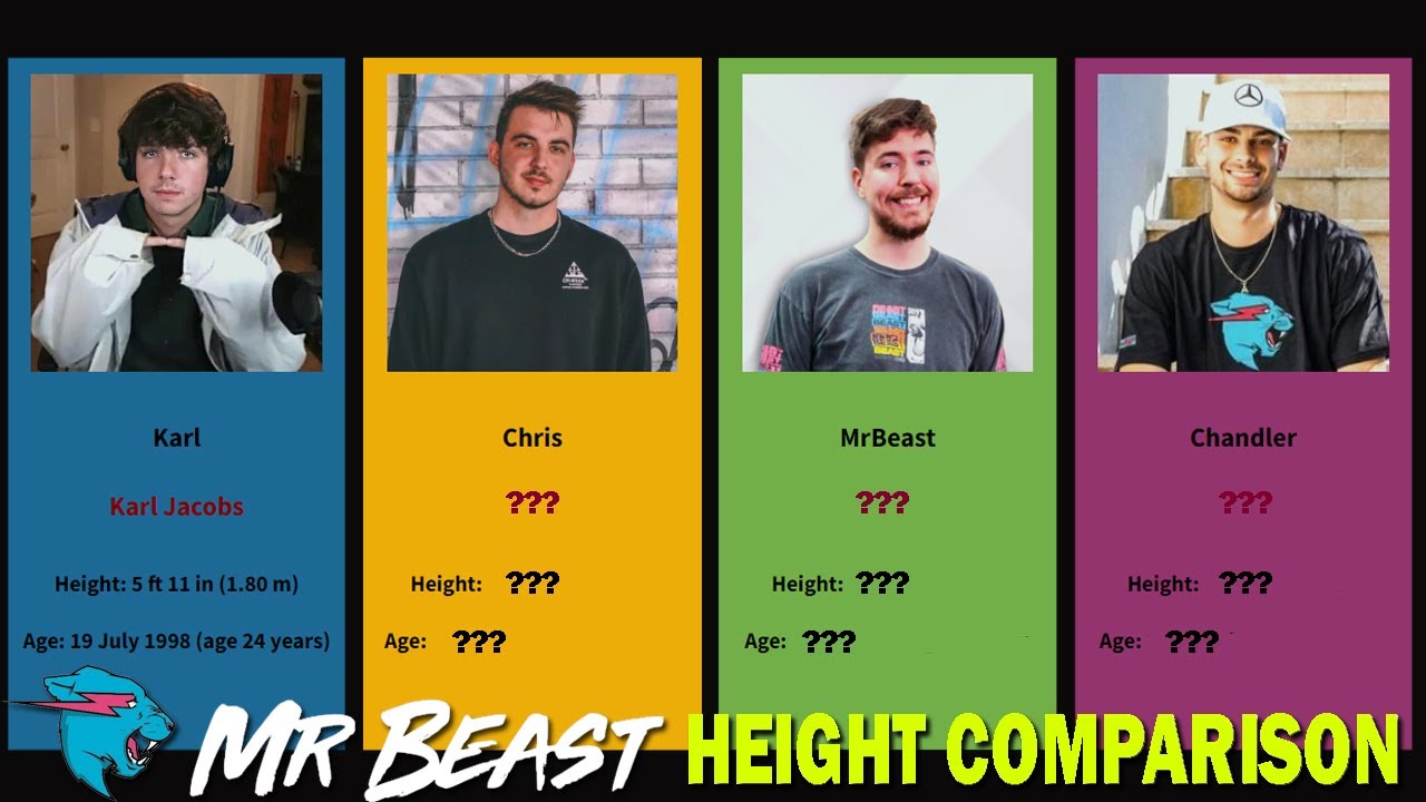 MrBeast Team Members Height Comparison 2022 - YouTube - How Tall Is MrBeast? YouTuber’s Height Revealed