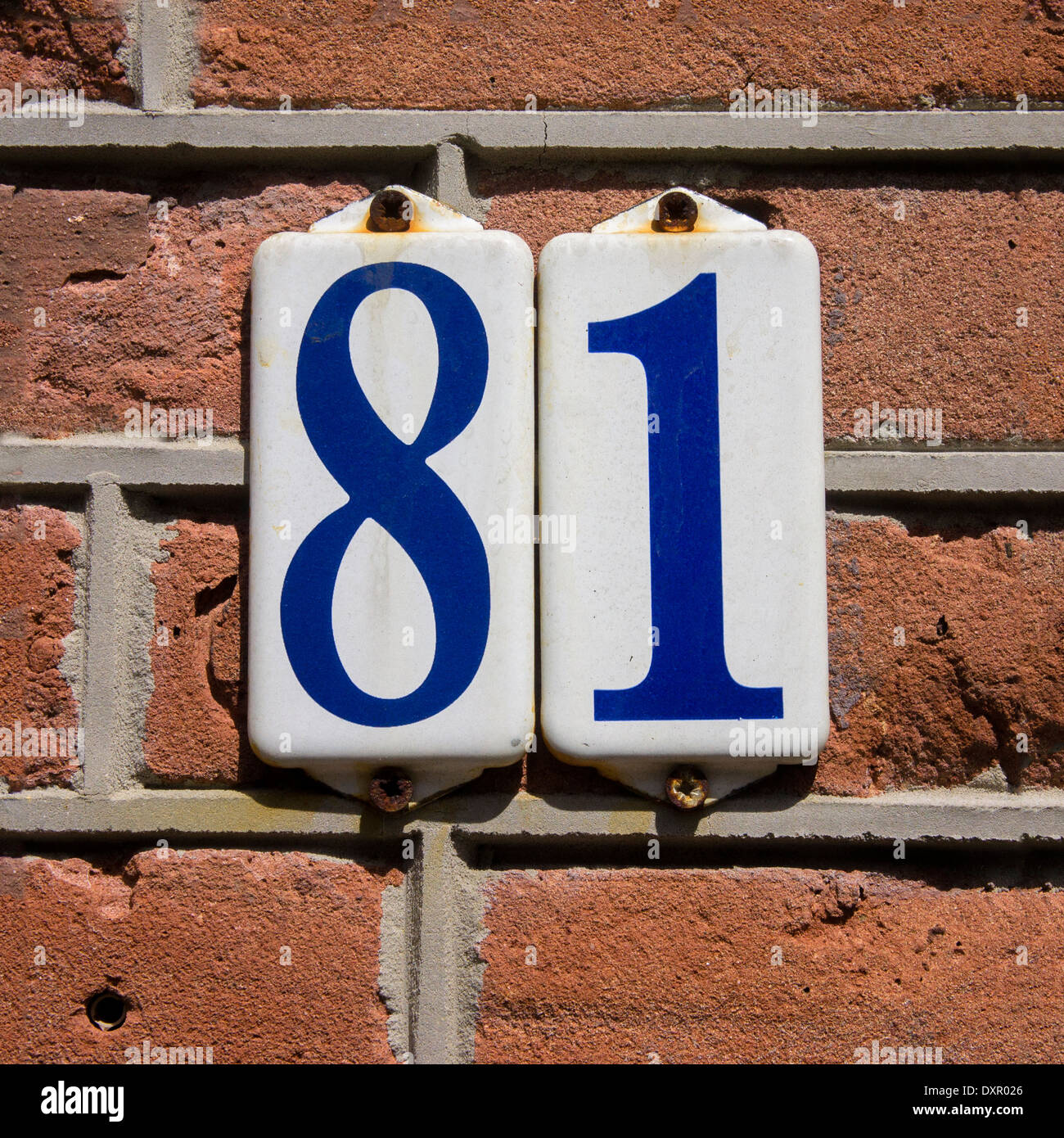 Number 81 - 81 Palms Rv Park Deming Nm