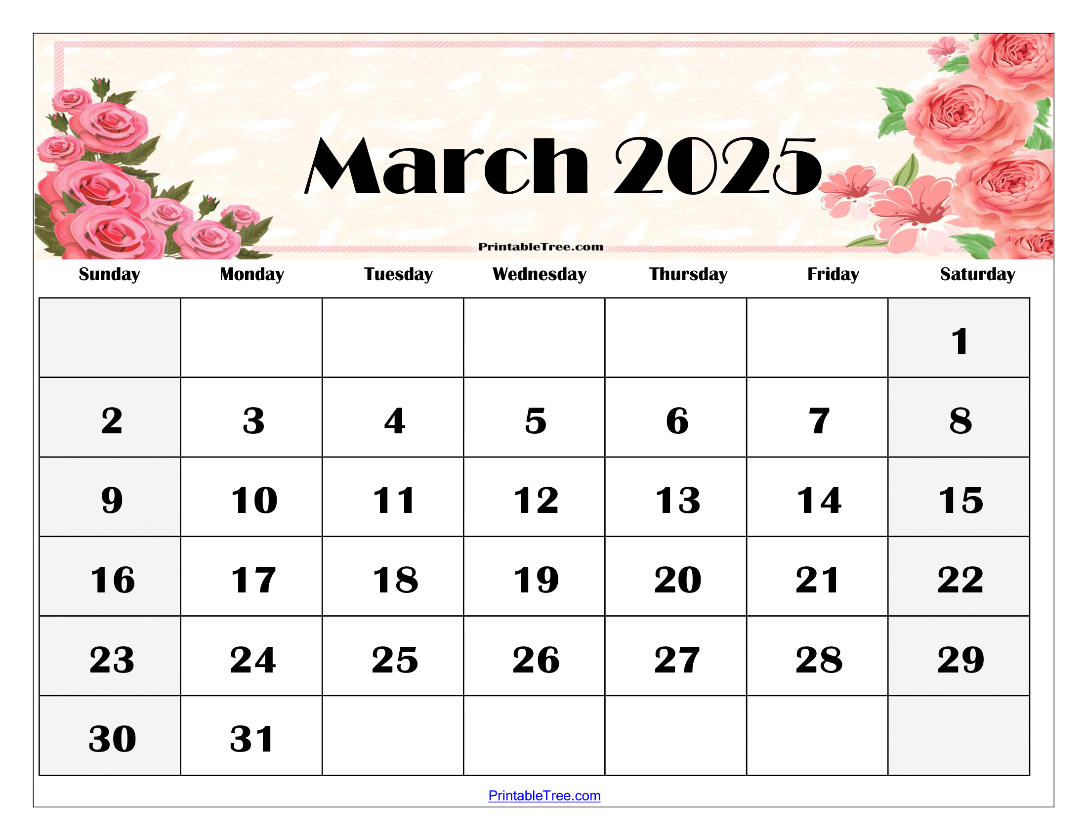 Planner March 2025 - Callie Mae - 180 Days Before March 1 2025