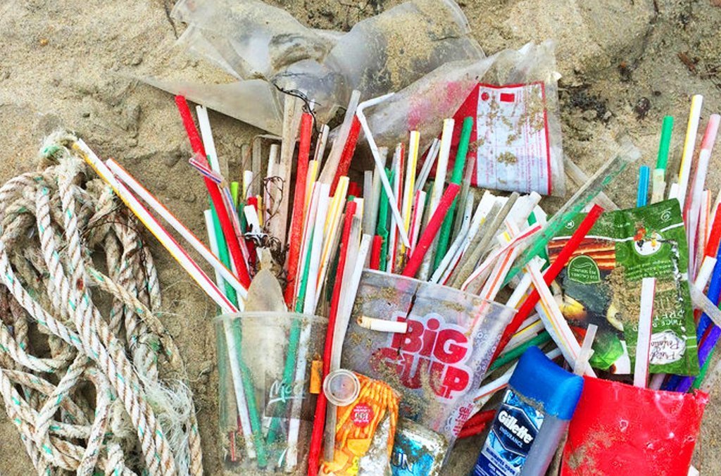 Progressive Charlestown: February 28 rally focuses attention on climate - Plastic Box For First Aid Kit