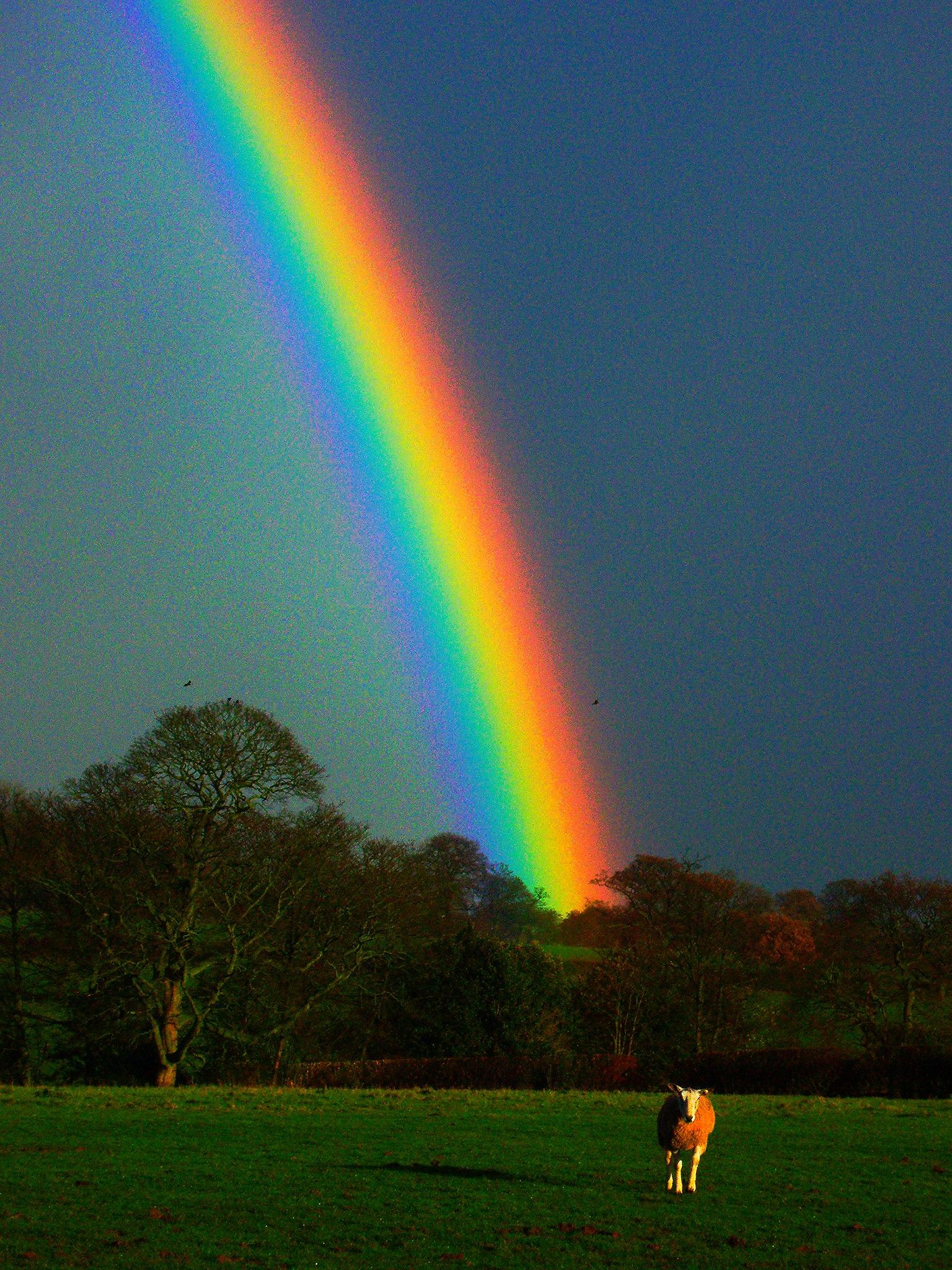 rainbow (colours enhanced) | Rainbow photography nature, Rainbow - Rainbow High Day Of The Dead