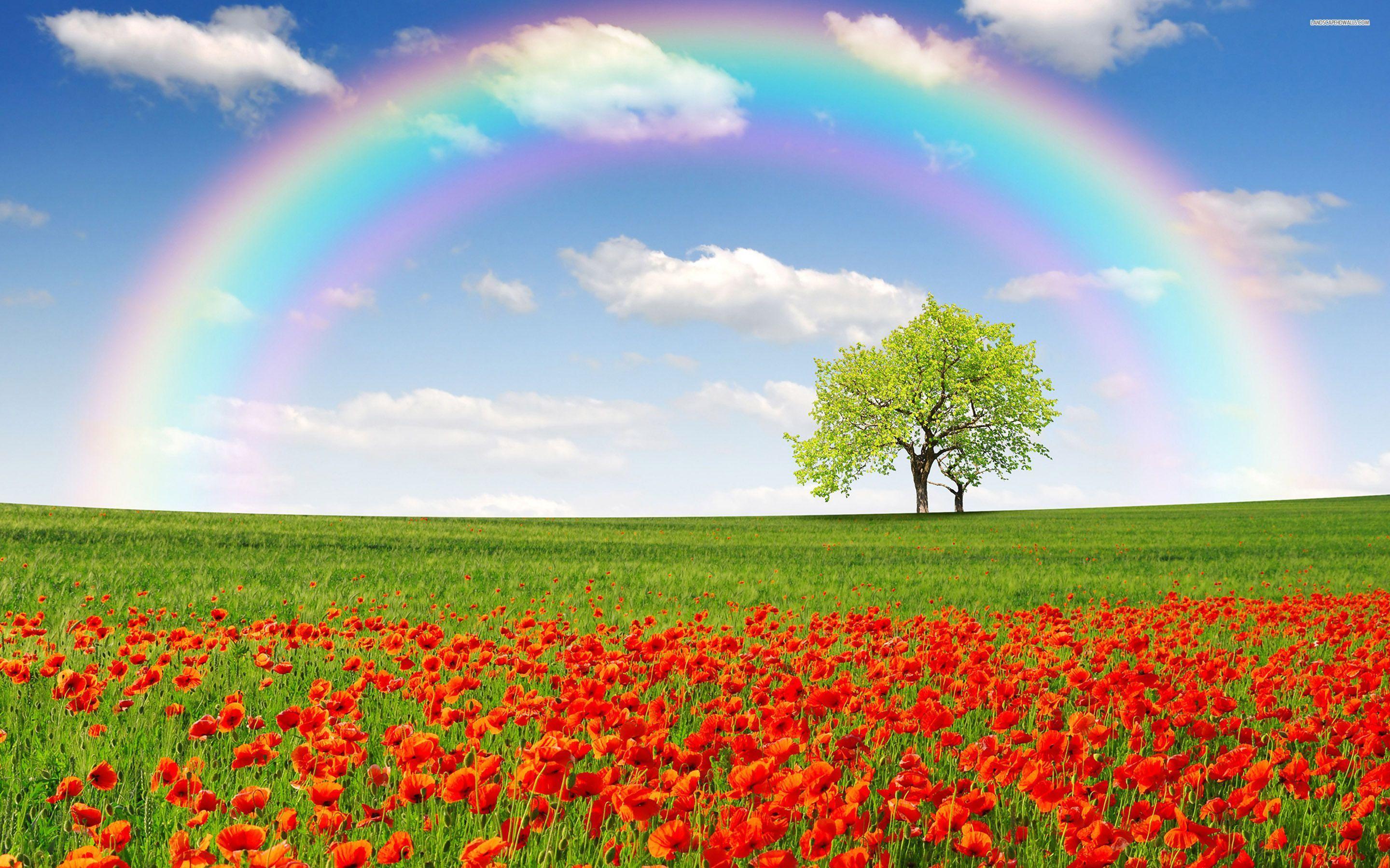 Rainbow Landscape Wallpapers - Top Free Rainbow Landscape Backgrounds - Rainbow High Day Of The Dead