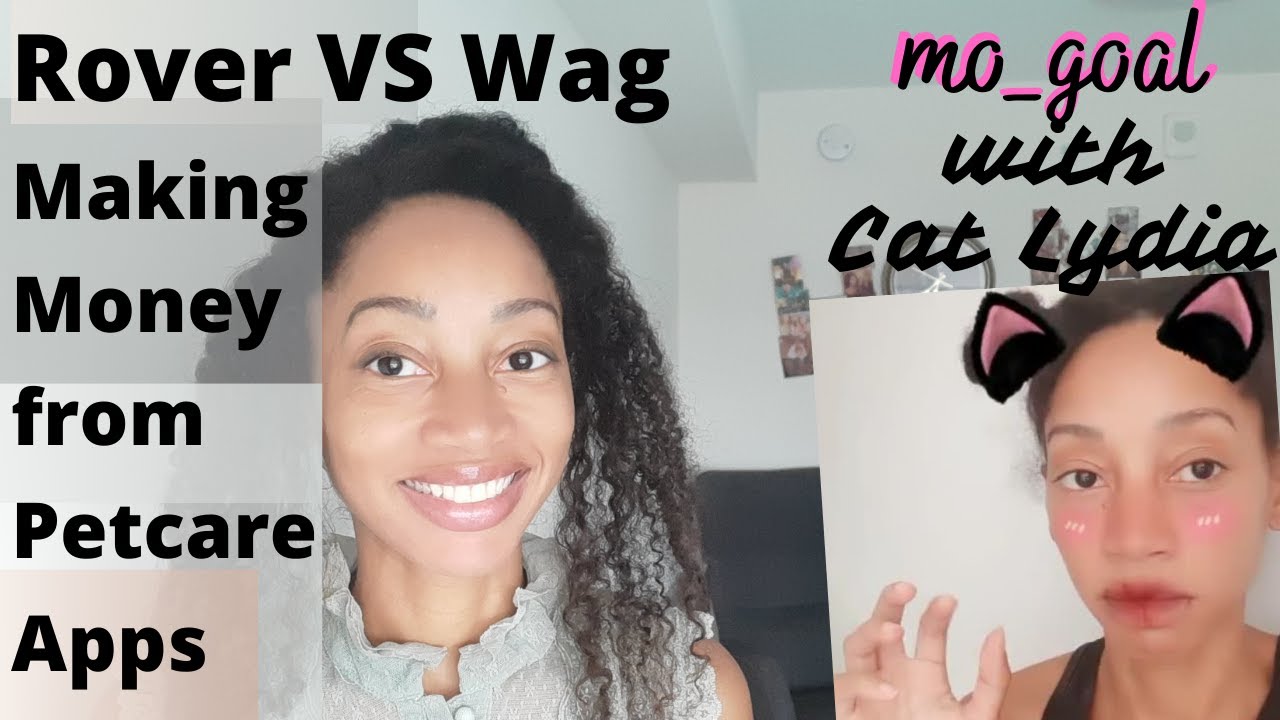Rover VS Wag pet-care money making app - YouTube - Wag Vs Rover For Pet Owners
